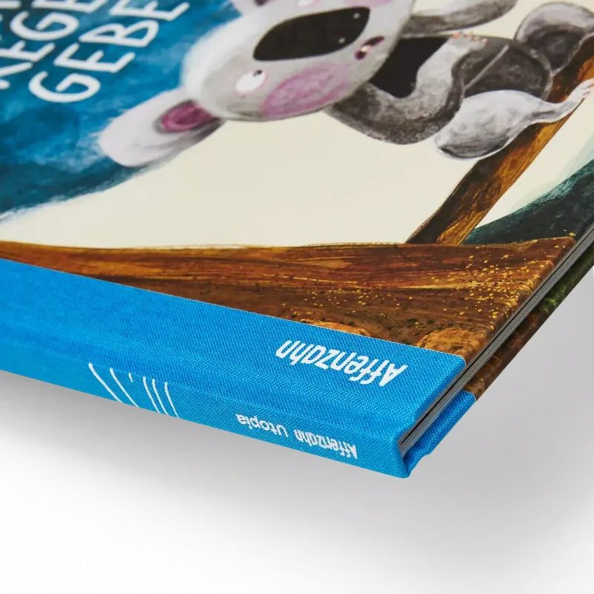 Affenzahn Bilderbuch Könnte Regen geben