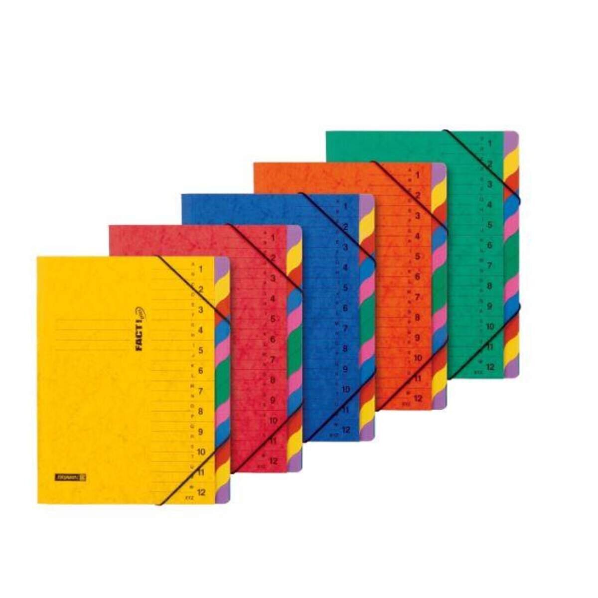 BRUNNEN Ordnungsmappe FACT!plus für A4, sortiert, 1 Stück