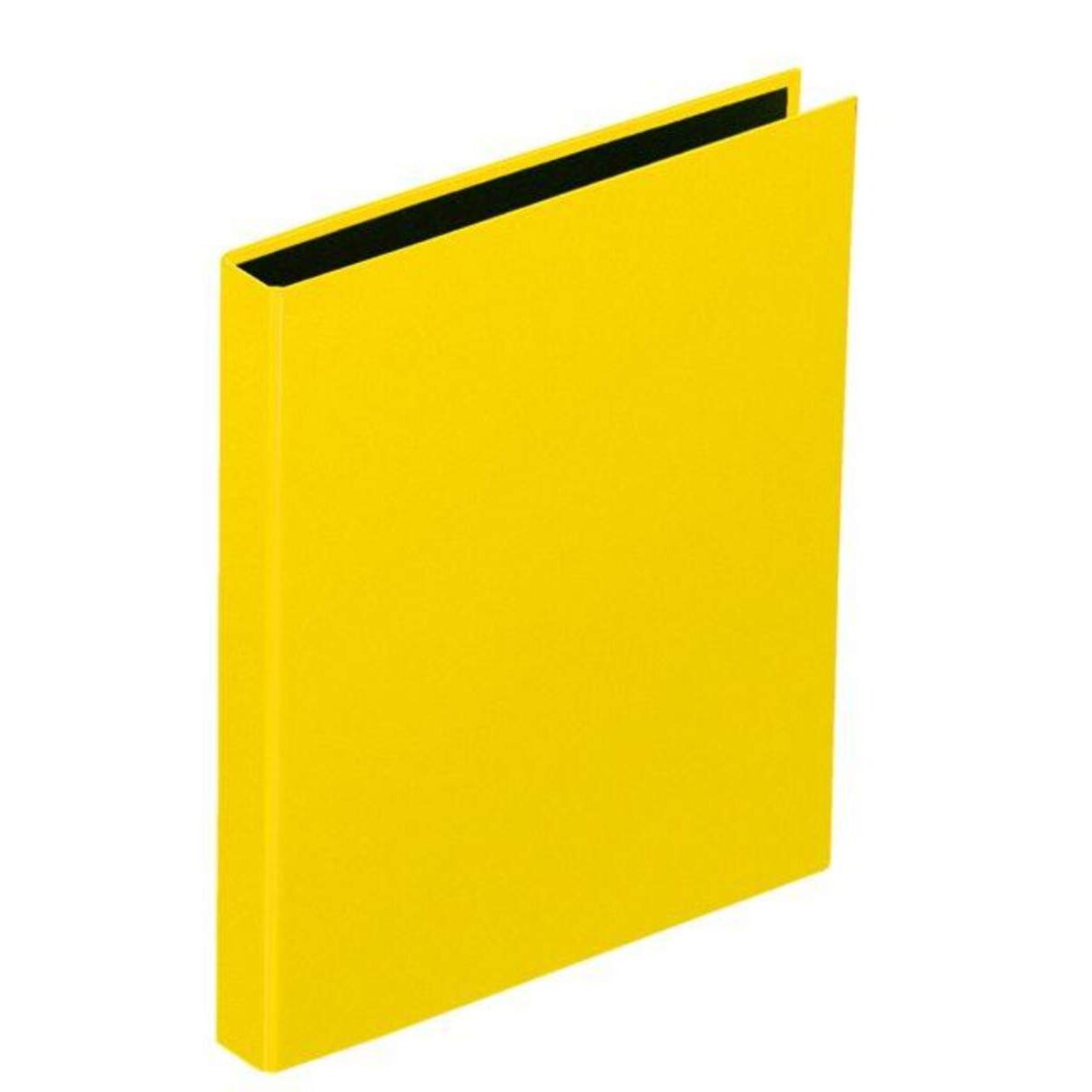 pagna-2060704-ringbuch-basic-colours-E2D93B9C1.jpg
