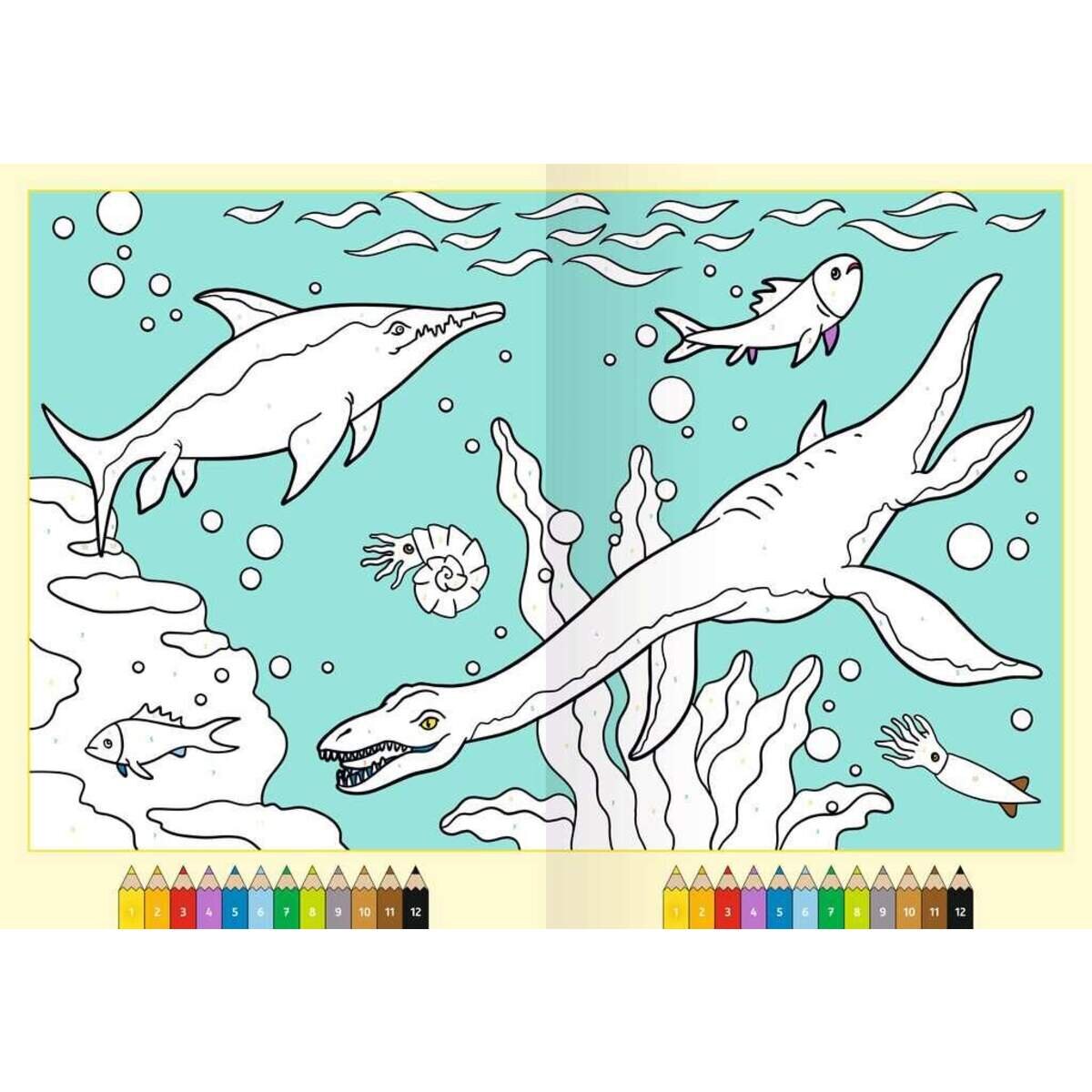 ravensburger-malen-nach-zahlen-malbuch-BEF767EF3.jpg
