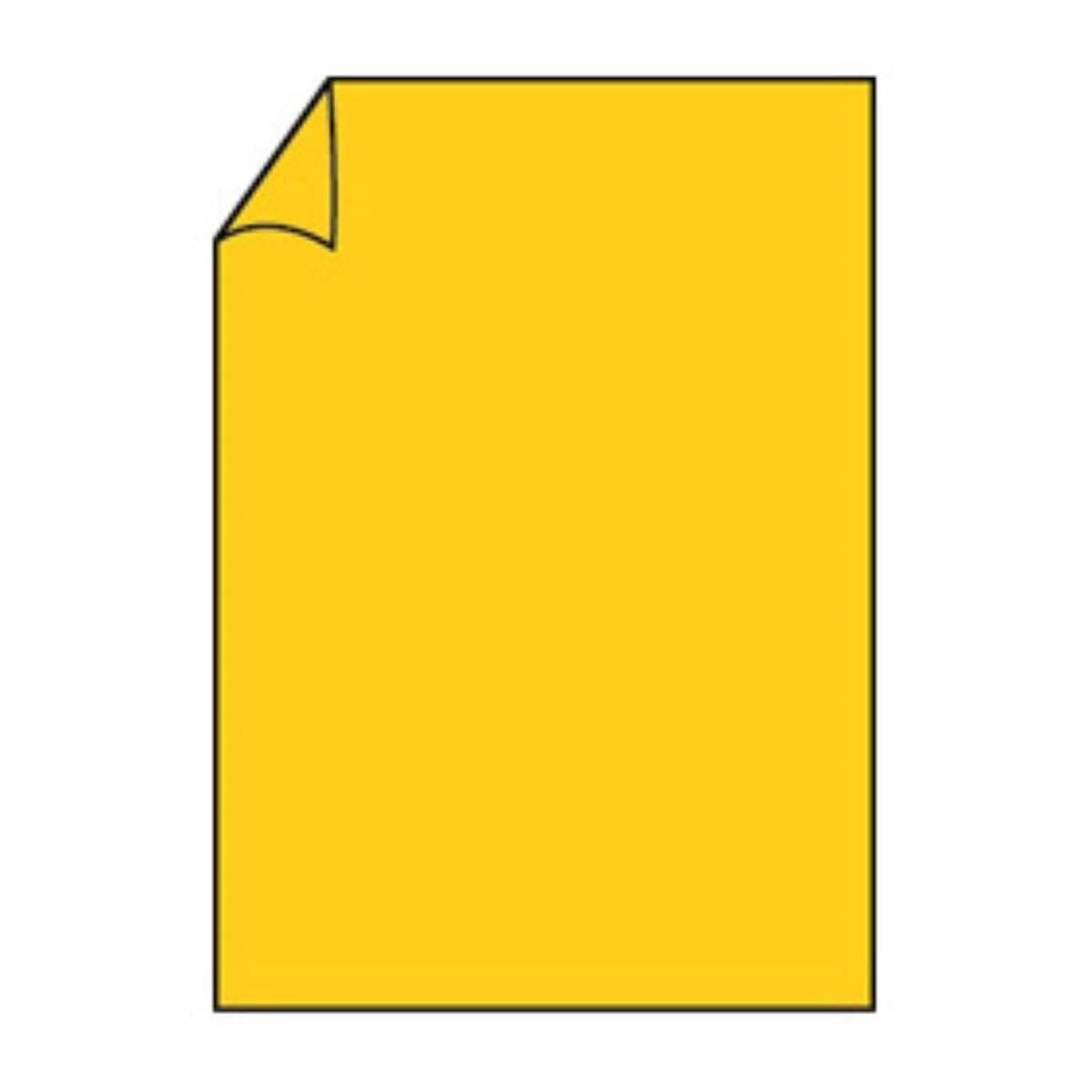roessler-coloretti-briefbogen-10-blatt-5EEAA6351.jpg