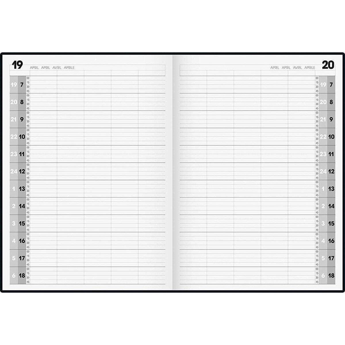 brunnen-buchkalender-agenda-2020-blattgroesse-767CB6B93.jpg