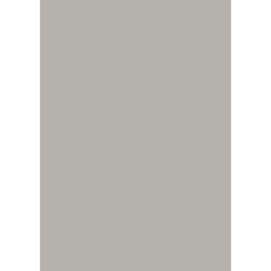 brunnen-universalpapier-a4-160g-grau-515875F61.jpg