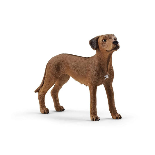 Schleich® 13895 Farm World Rhodesian Ridgeback