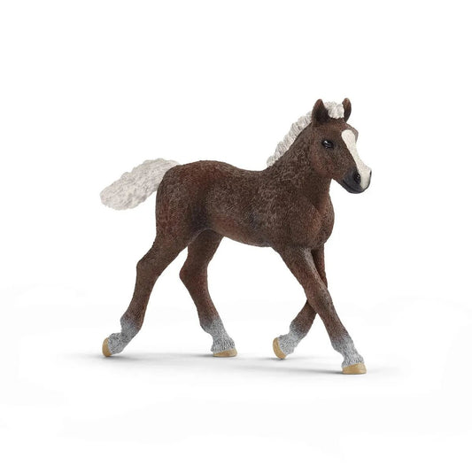 schleich-13899-farm-world-schwarzwaelder-647D488A1.jpg