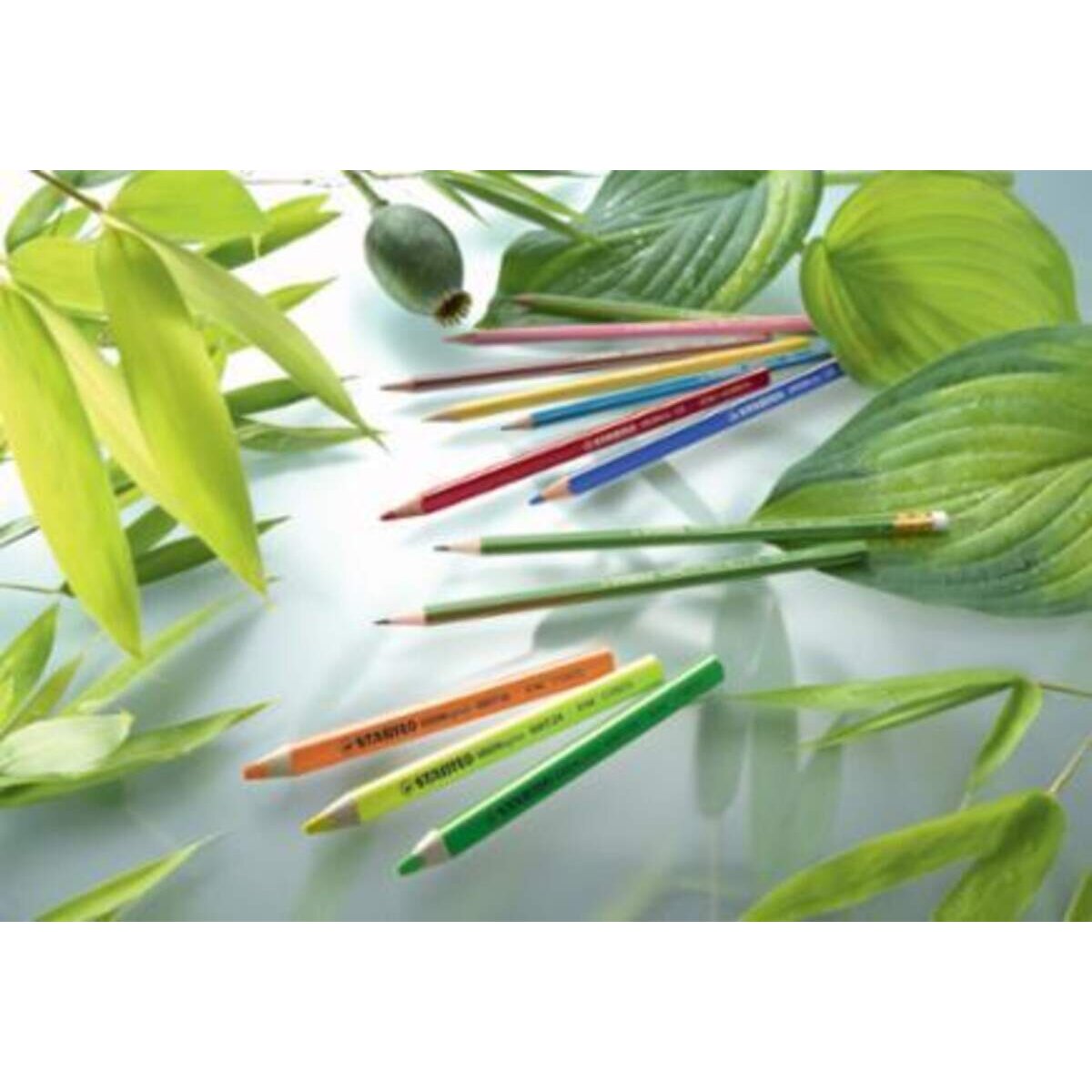 Umweltfreundlicher Buntstift - STABILO GREENcolors - 12er Pack - mit 12 verschiedenen Farben