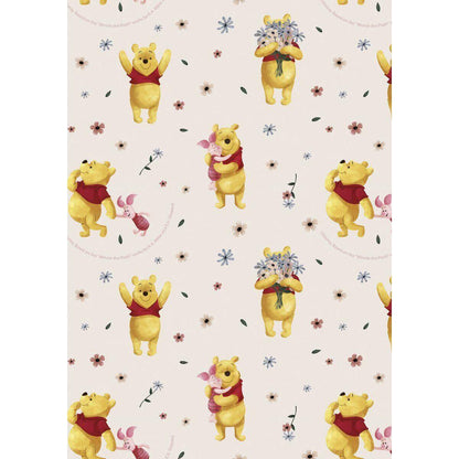zoewie-geschenkpapier-disney-2-m-4FD0BD2E2.jpg